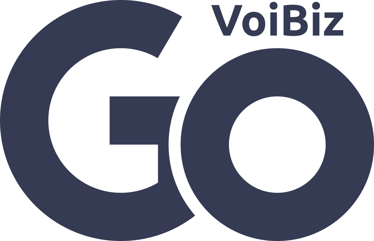 VoiBiz GO
